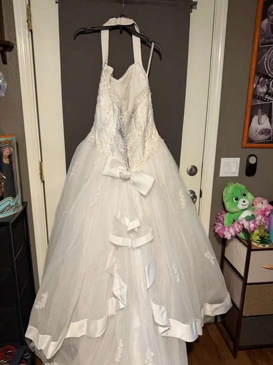 David’s Bridal Ballgown Wedding Dress - Picture 12 of 16